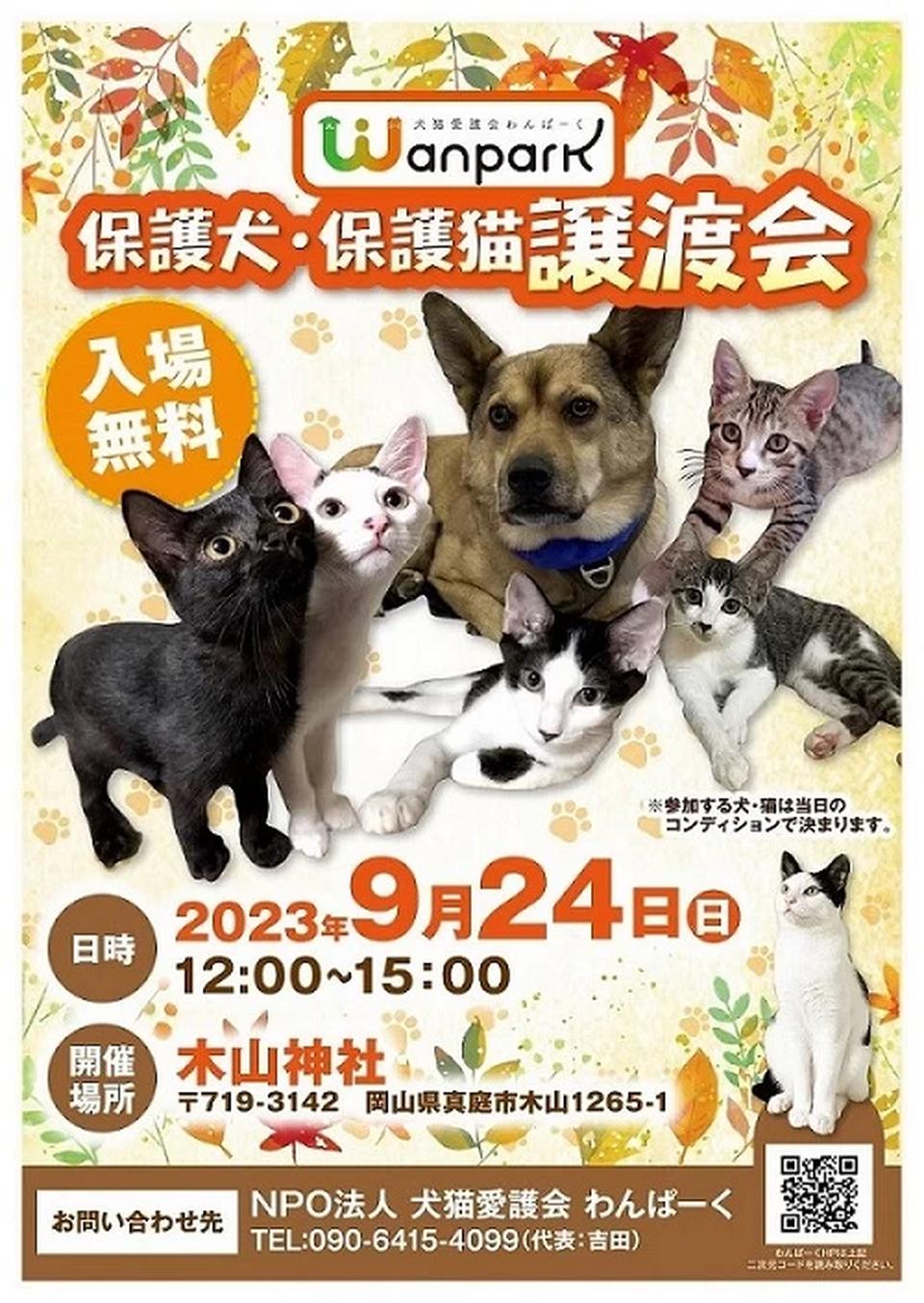 保護犬・保護猫　譲渡会　開催の画像