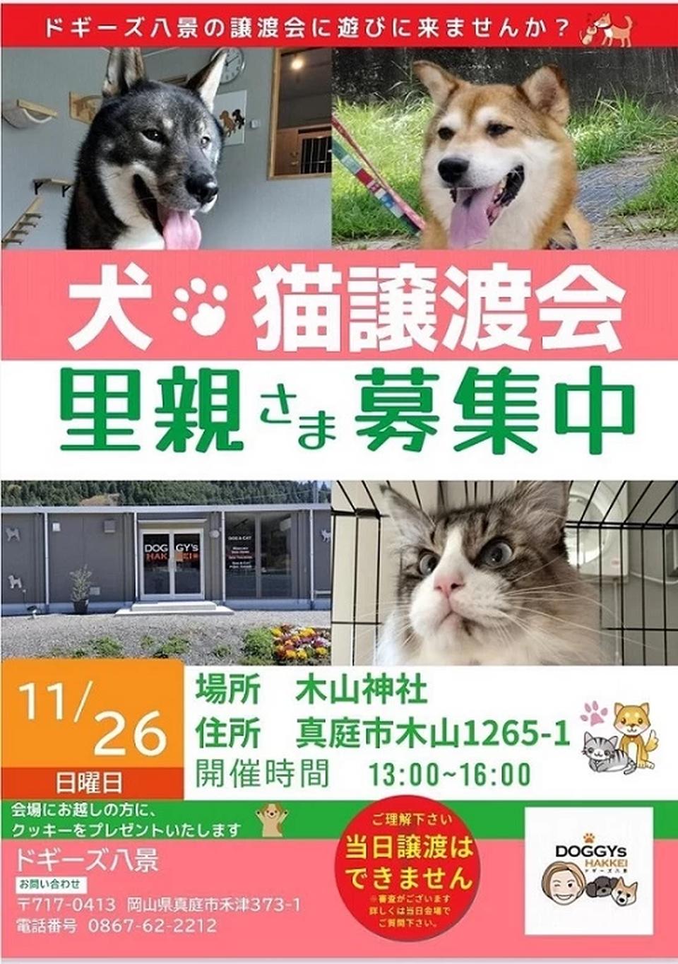 ドギーズ八景　譲渡会開催の画像