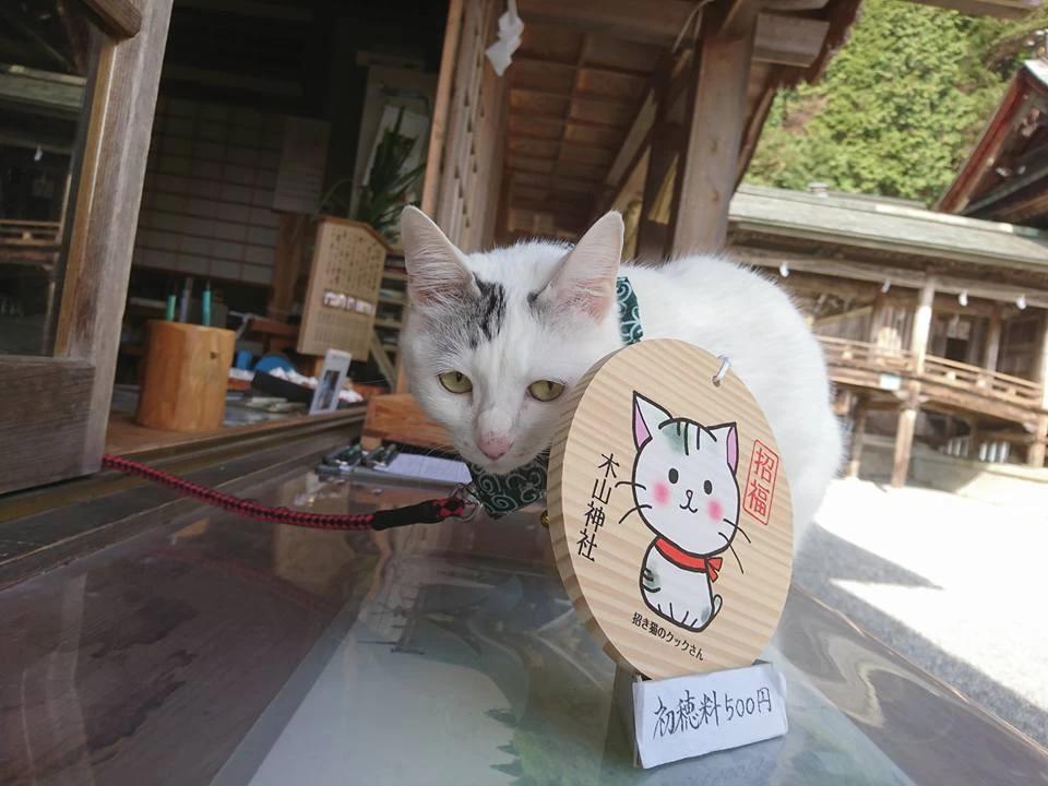 クックさん絵馬の画像