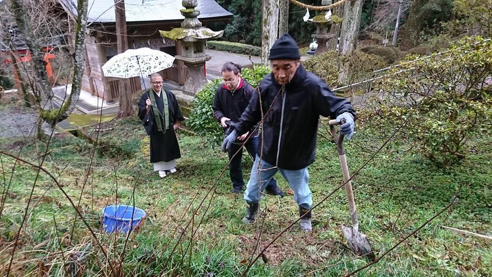 桜の植樹の画像