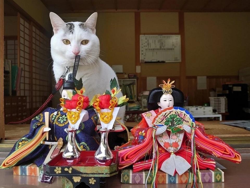木山神社 Twitter | ブログ | 新着情報 | 木山神社｜岡山県真庭市木山鎮座