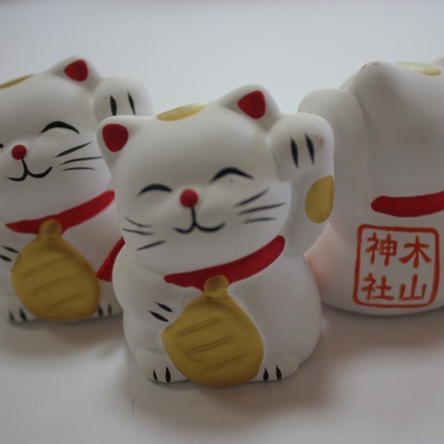 招き猫おみくじの画像