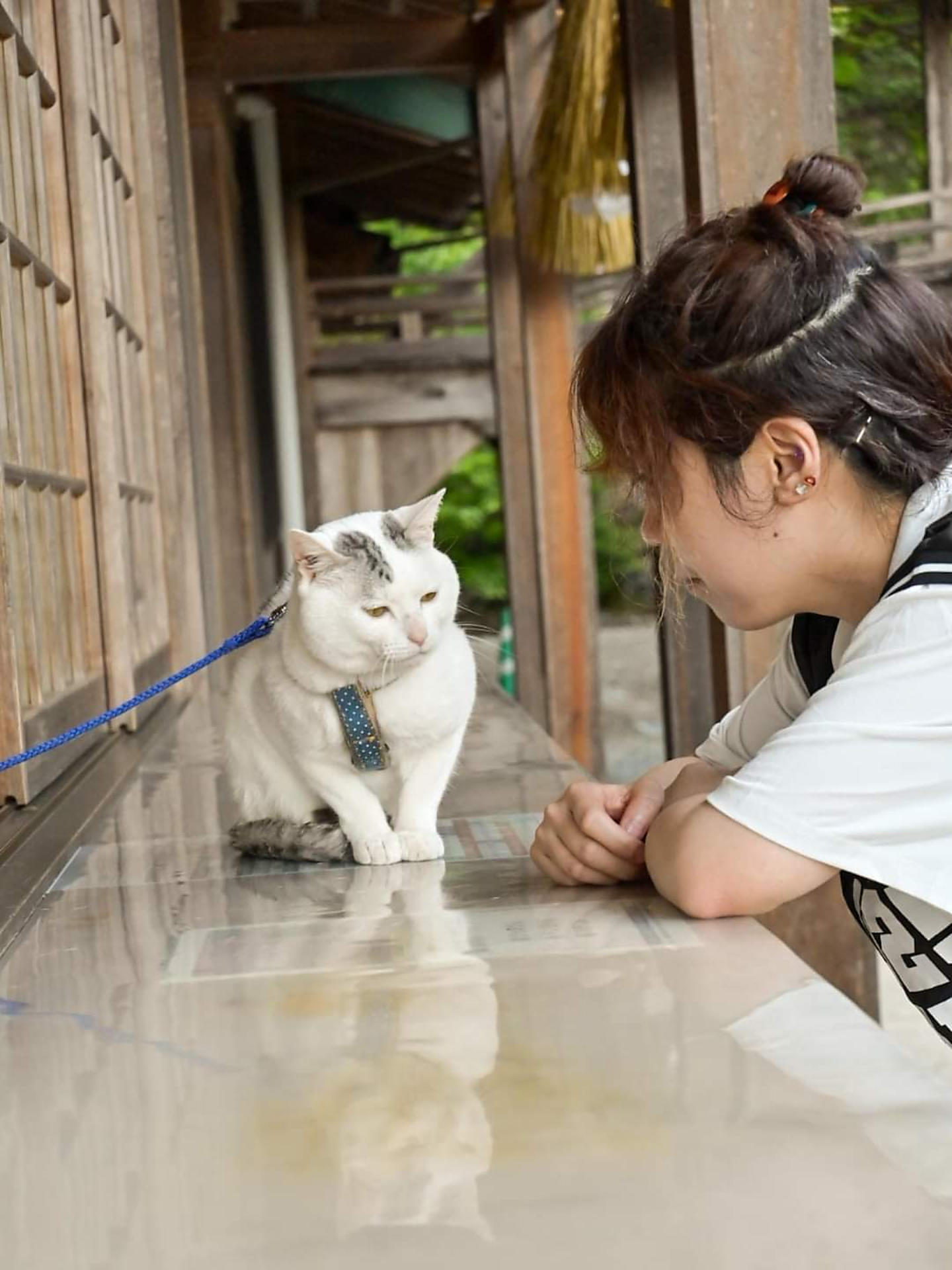 招き猫・こま犬 | 木山神社｜岡山県真庭市木山鎮座