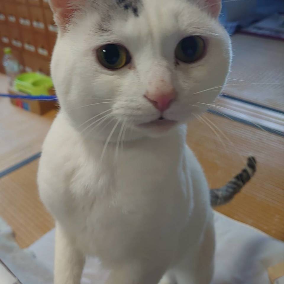 ギャラリーの画像