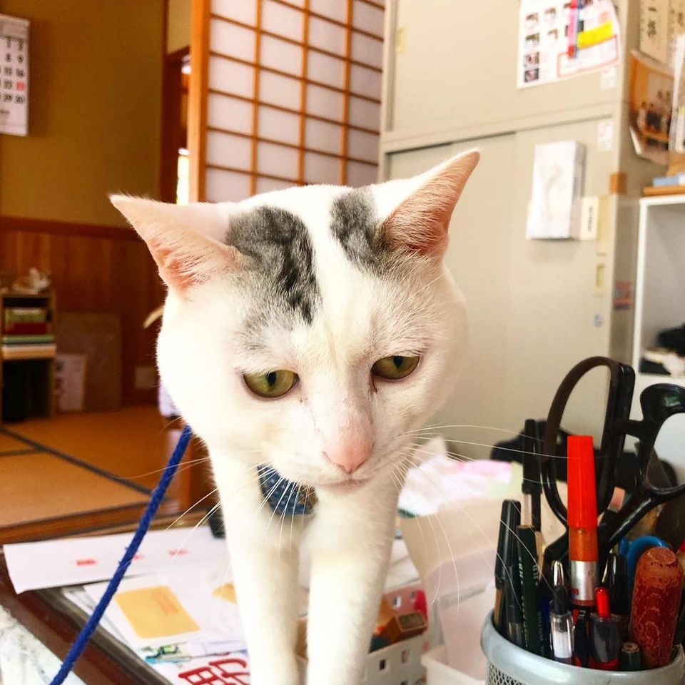 ギャラリーの画像