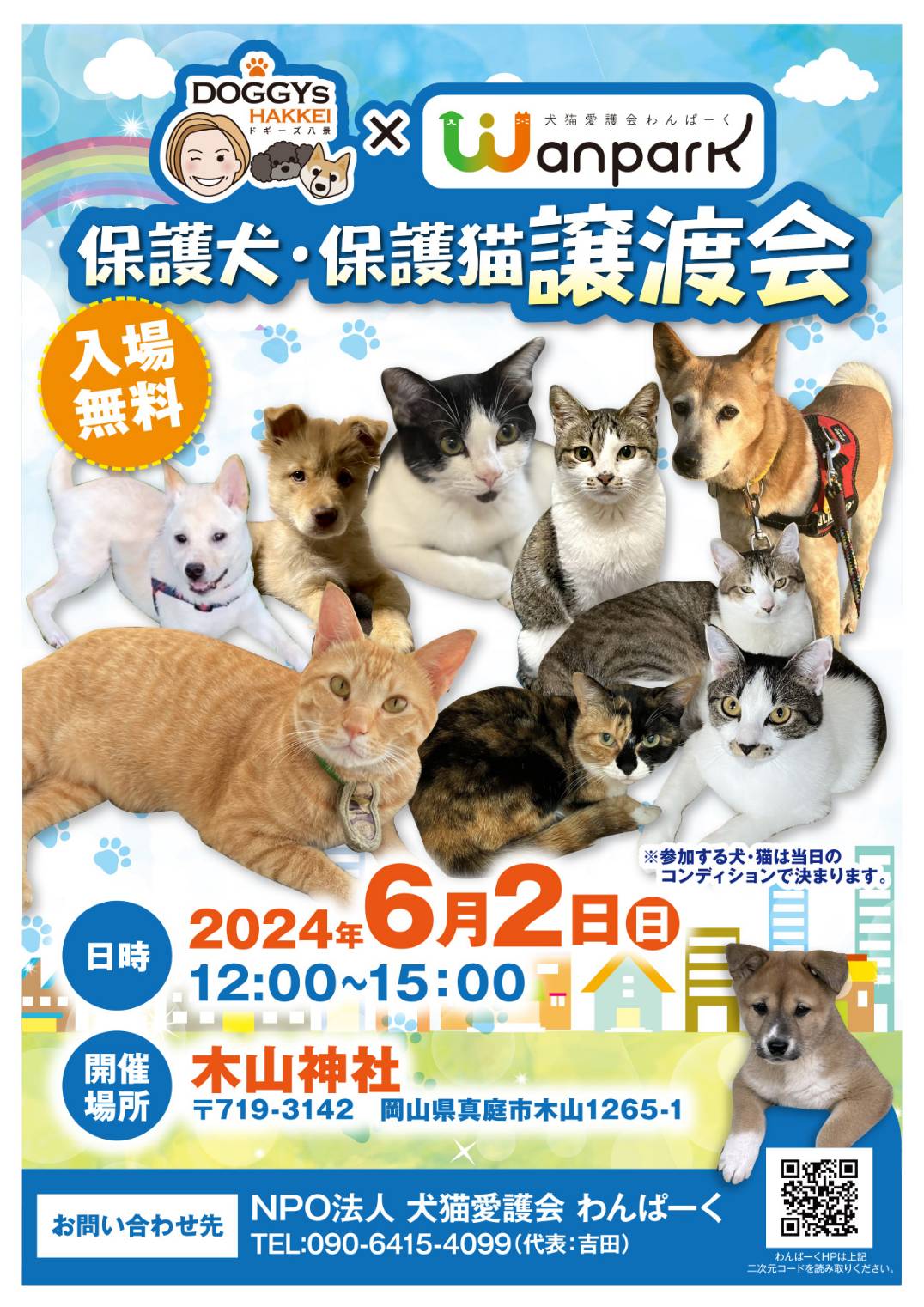 6月2日（日）保護猫・保護犬譲渡会開催の画像