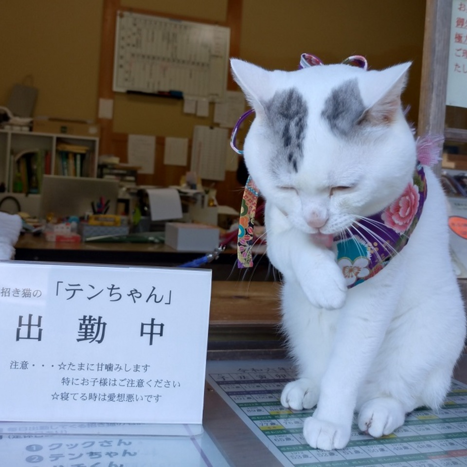 の画像