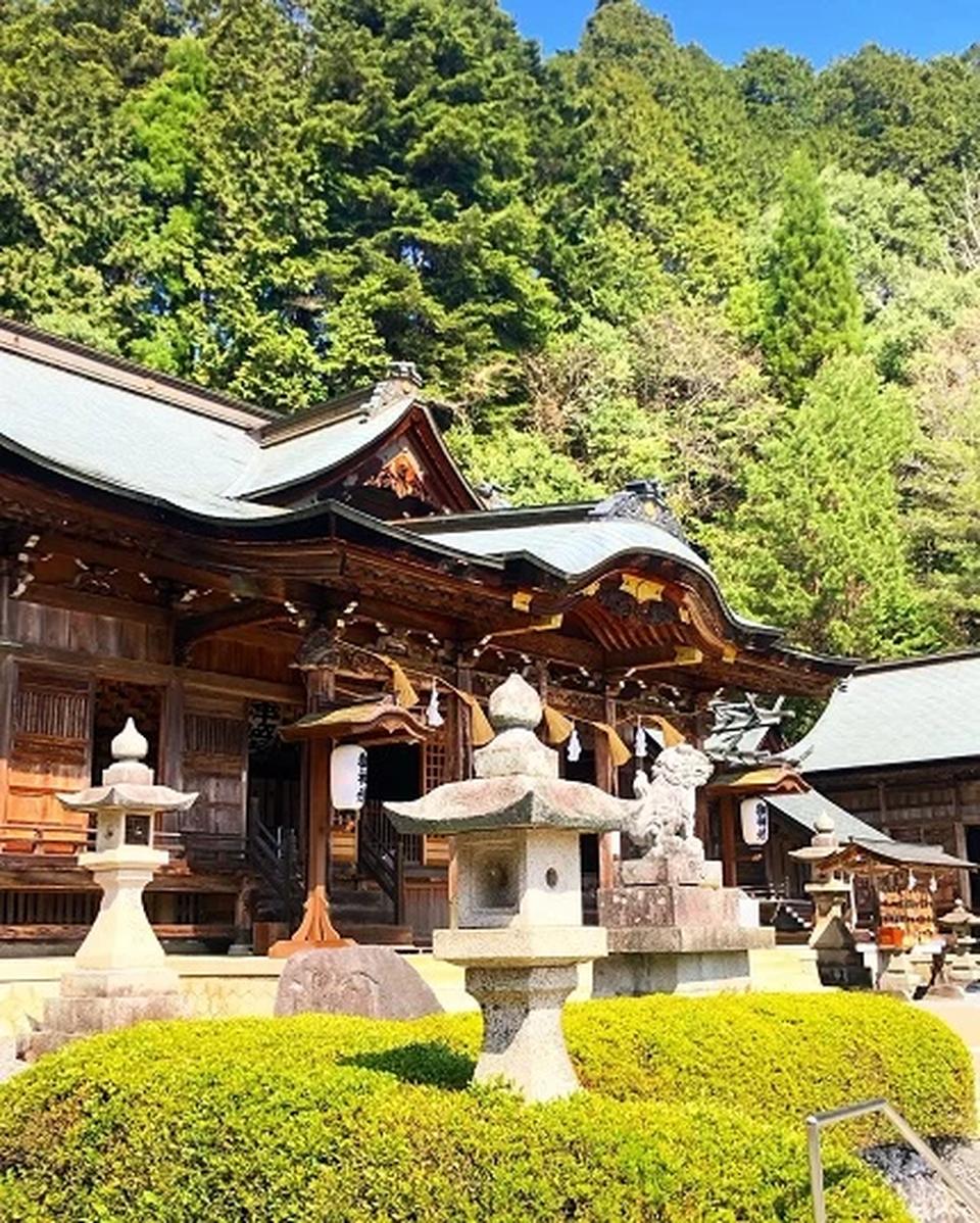 桜も終わり．．．の画像